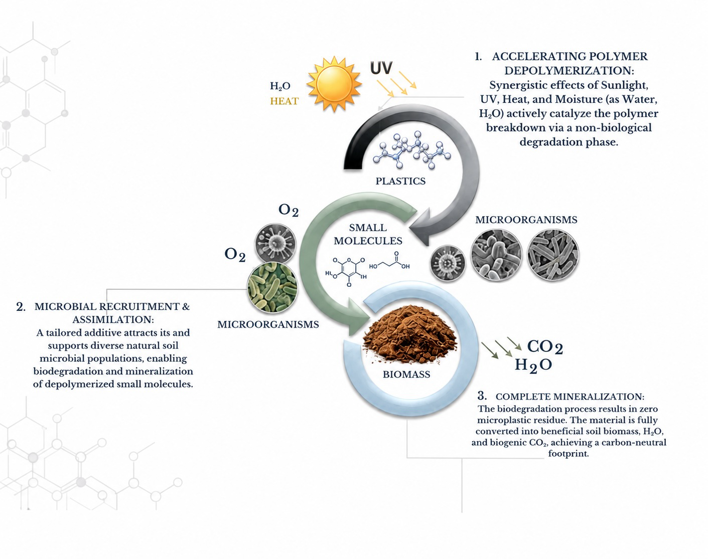The EcoRevo mechanism: accelerating polymer depolymerization, microbial recruitment and complete mineralization